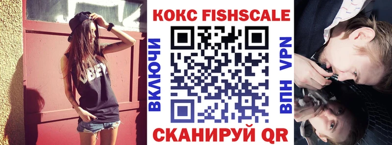 магазин  наркотиков  Жирновск  сайты даркнета наркотические препараты  Cocaine FishScale 