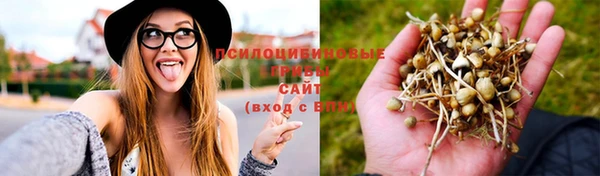 хмурый Алзамай