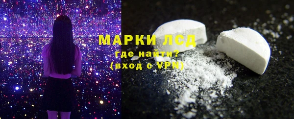 прущие грибы Валдай