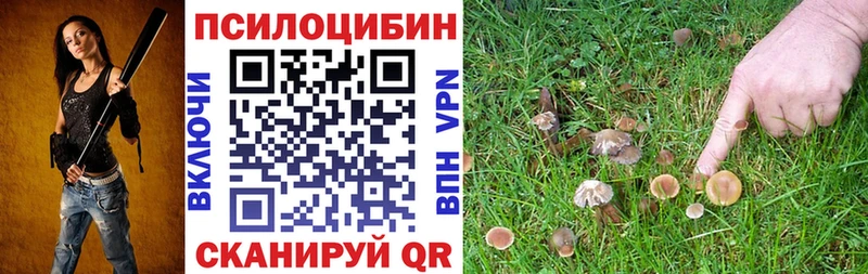 Псилоцибиновые грибы прущие грибы Жирновск